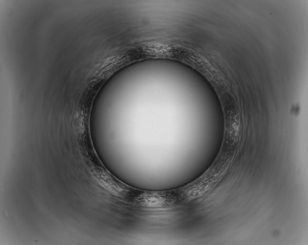 X0000101230658200806271512