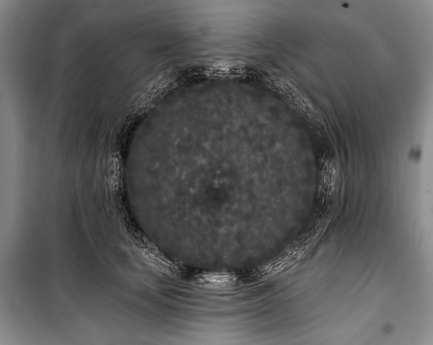 X0000101230659200806271512