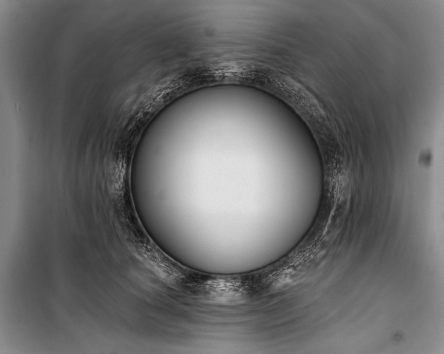 X0000101230660200806271512