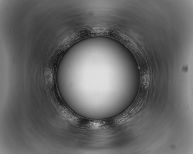 X0000101230662200806271512