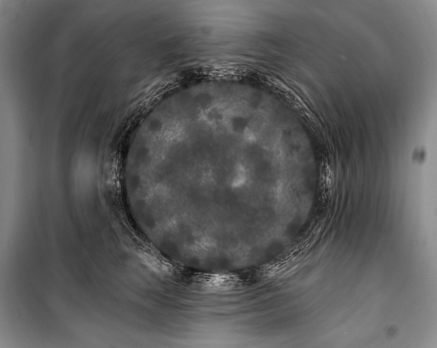 X0000101230663200806271512