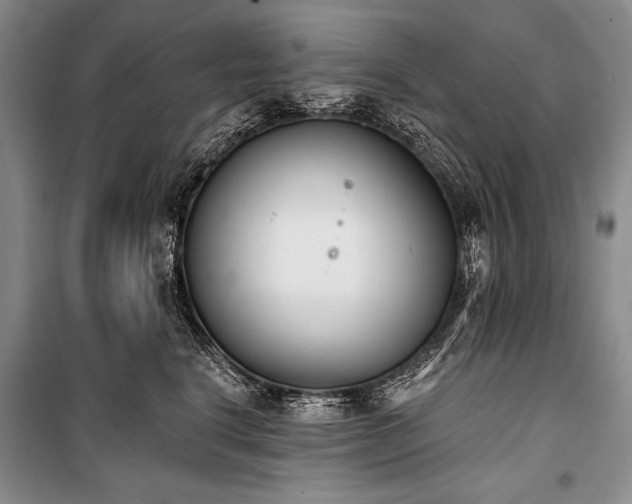 X0000101230664200806271512