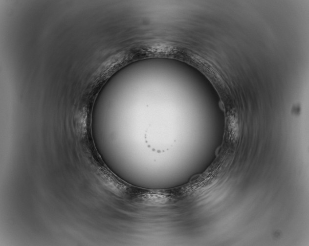 X0000101230668200806271512