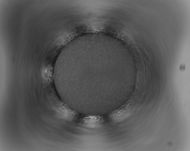 X0000101230672200806271512
