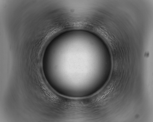 X0000101230673200806271512