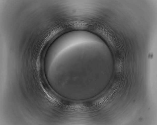X0000101230674200806271512