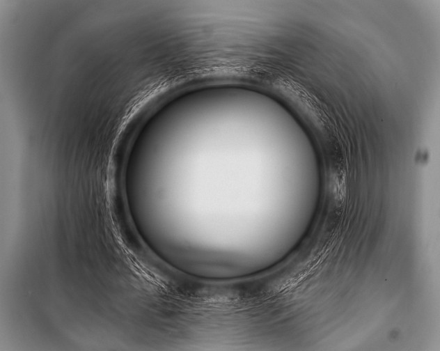 X0000101230676200806271512