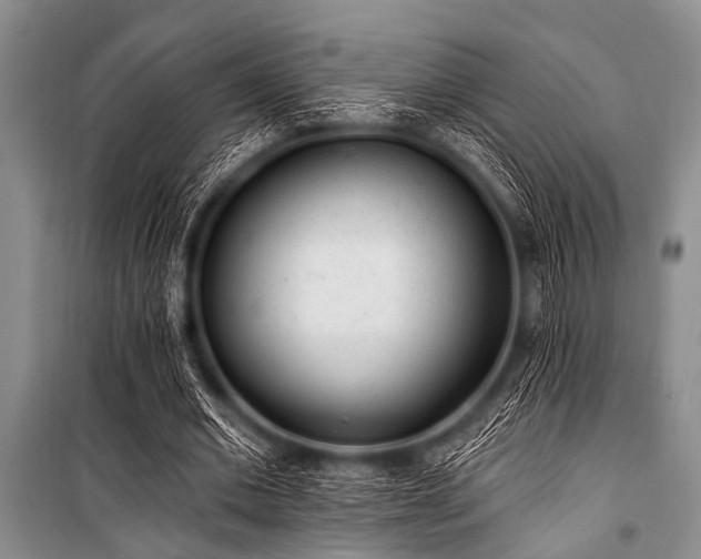 X0000101230677200806271512
