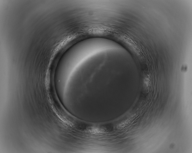 X0000101230678200806271512
