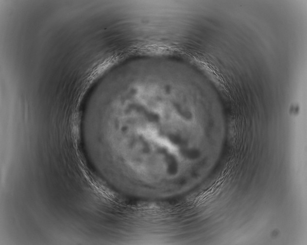 X0000101230679200806271512