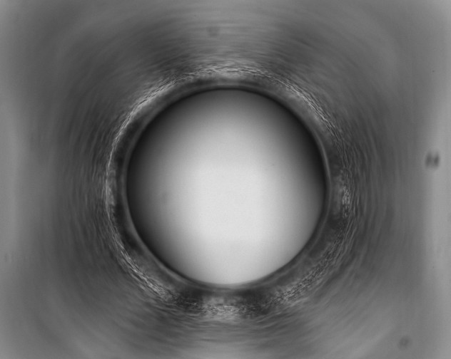 X0000101230680200806271512