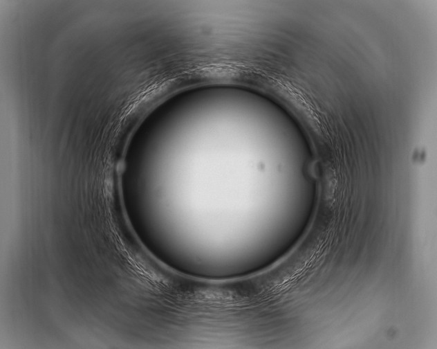 X0000101230681200806271511
