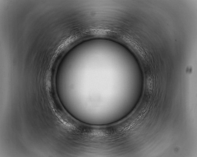 X0000101230682200806271511