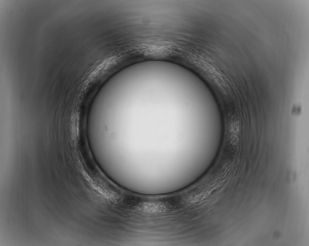 X0000101230686200806271511