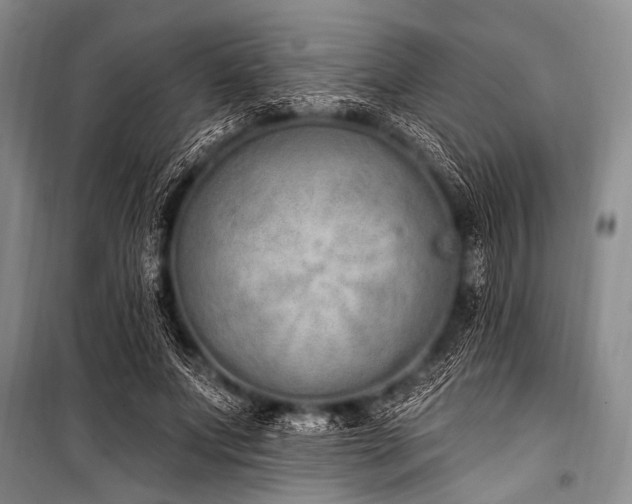 X0000101230687200806271511