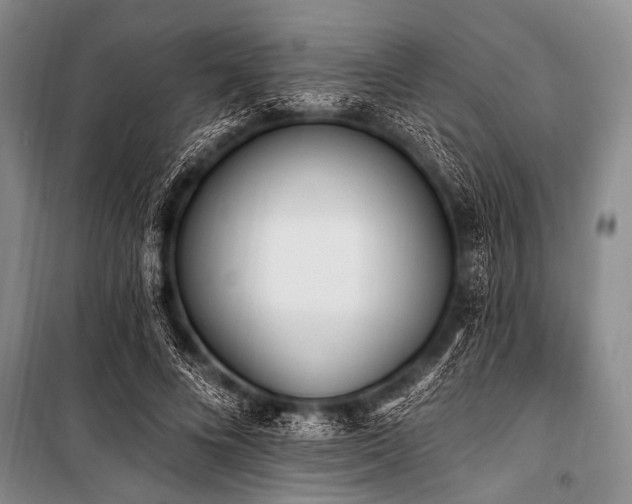 X0000101230688200806271511