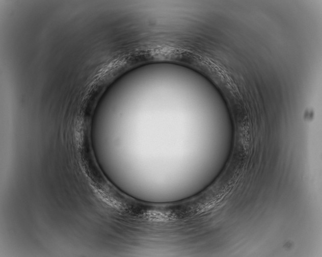 X0000101230690200806271511