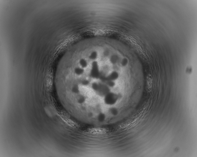 X0000101230691200806271511