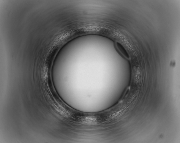 X0000101230692200806271511