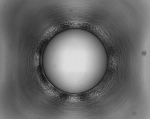 X0000101230694200806271511