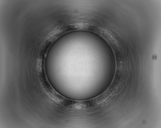 X0000101230696200806271511
