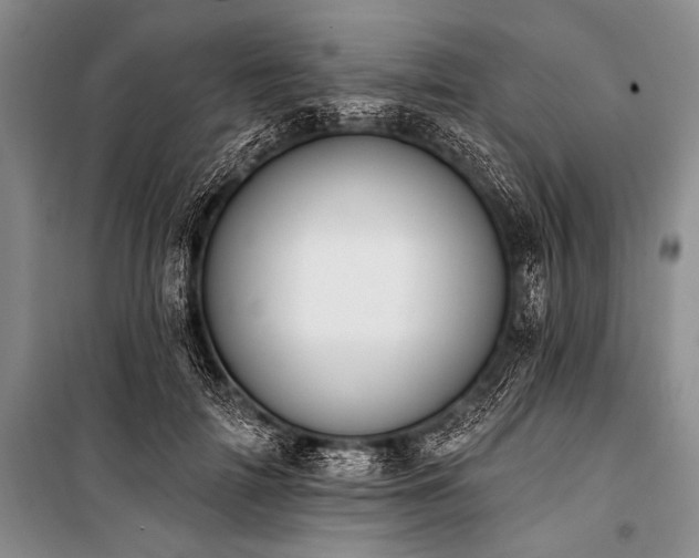 X0000101230698200806271511