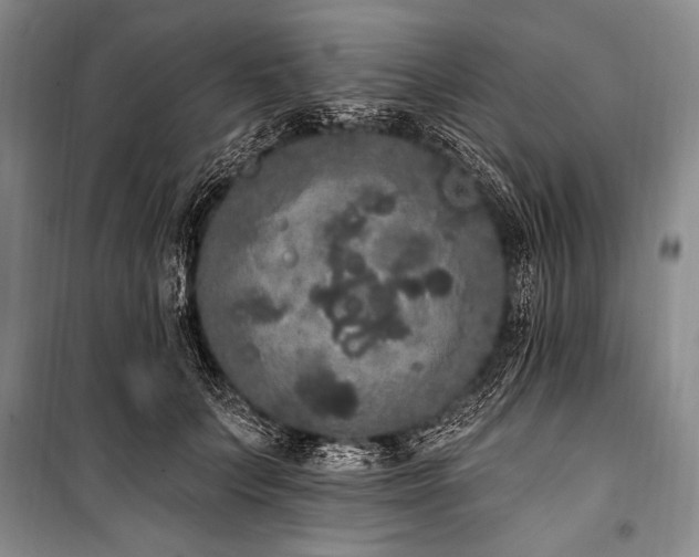 X0000101230703200806271511