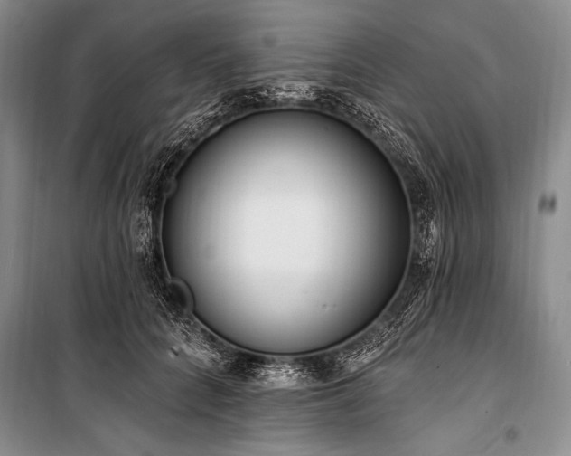 X0000101230704200806271511