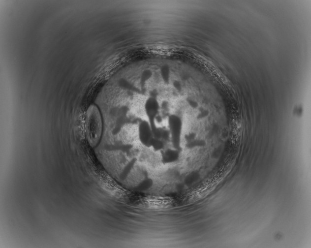 X0000101230707200806271511