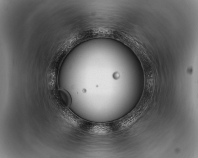 X0000101230708200806271511