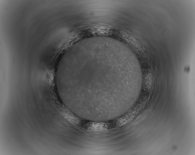 X0000101230709200806271511