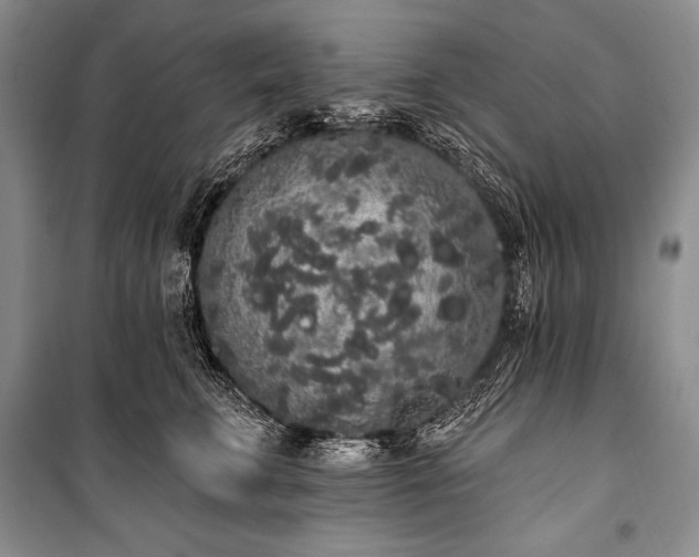 X0000101230711200806271511