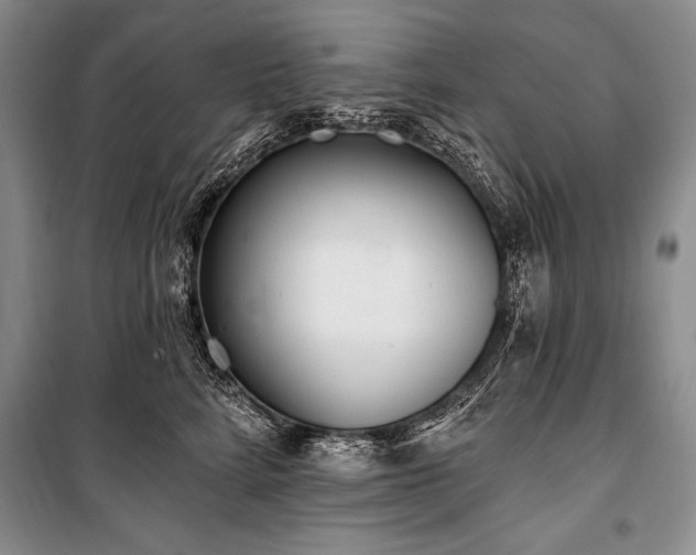X0000101230712200806271511