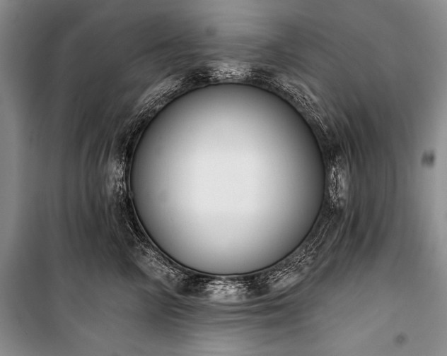X0000101230714200806271511