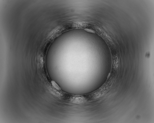 X0000101230716200806271511