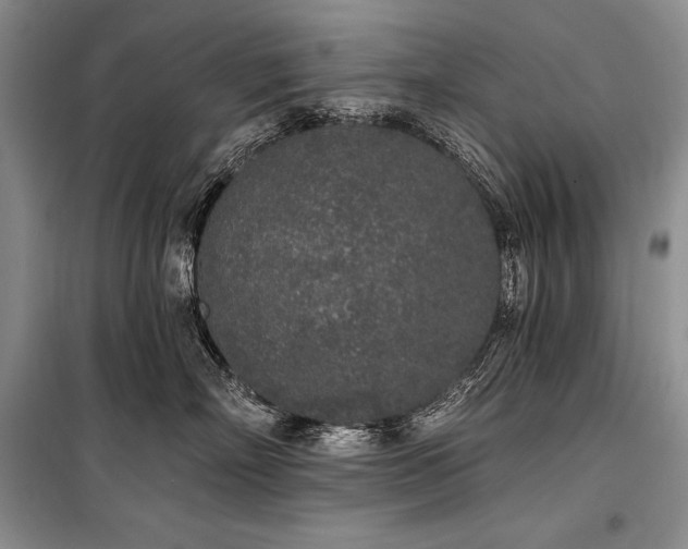 X0000101230718200806271511