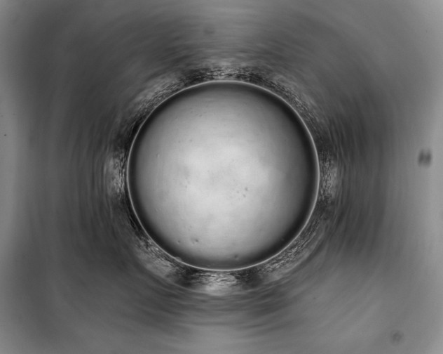 X0000101230719200806271511