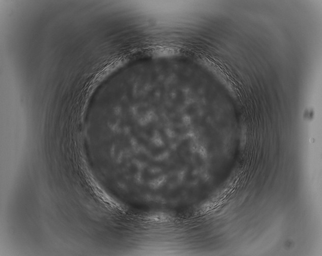 X0000101230721200806271510