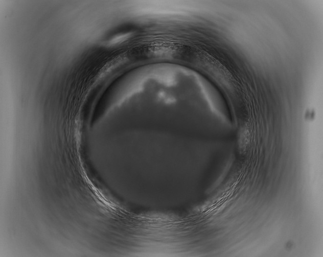 X0000101230722200806271510