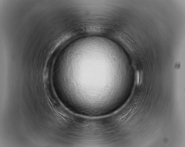 X0000101230723200806271510