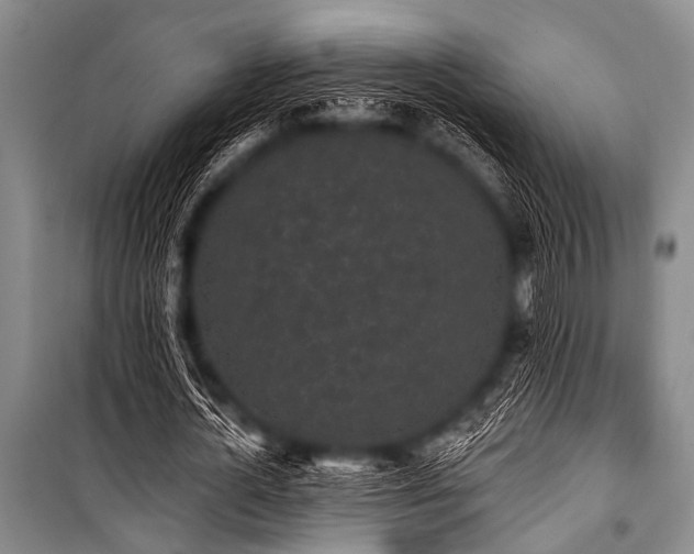 X0000101230724200806271510