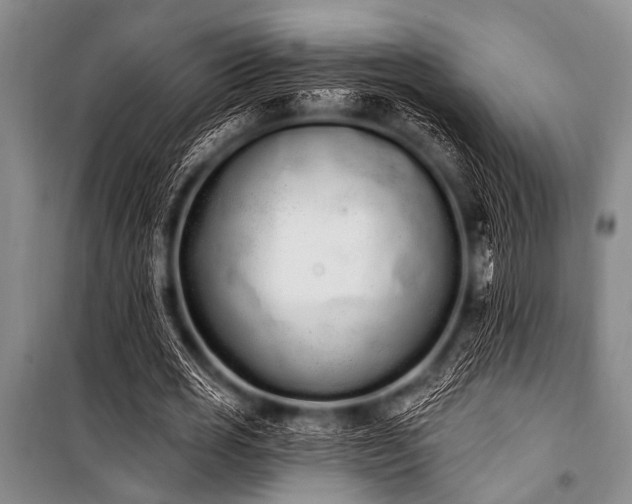 X0000101230725200806271510