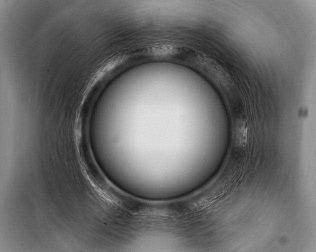 X0000101230726200806271510