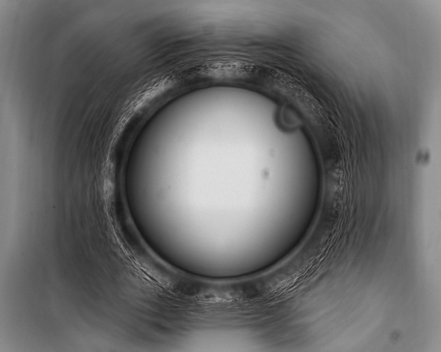 X0000101230727200806271510