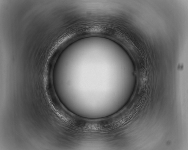 X0000101230728200806271510