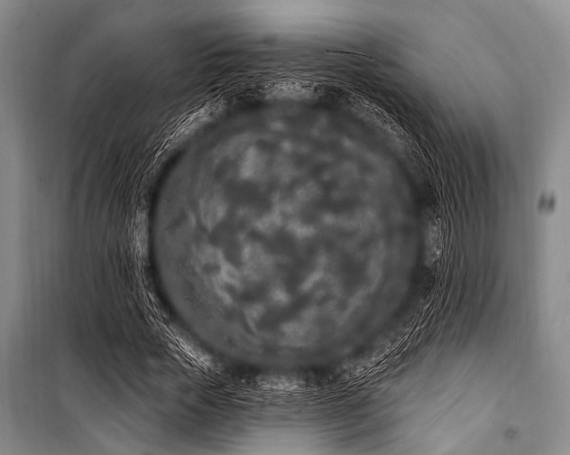 X0000101230729200806271510