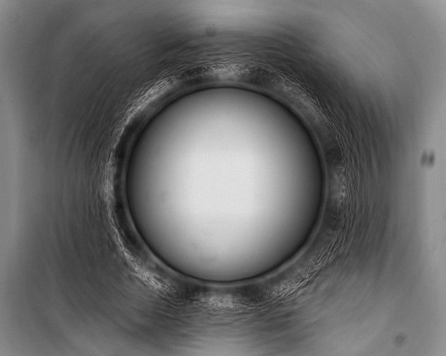 X0000101230730200806271510