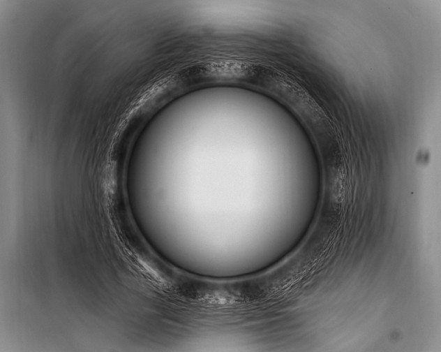 X0000101230731200806271510