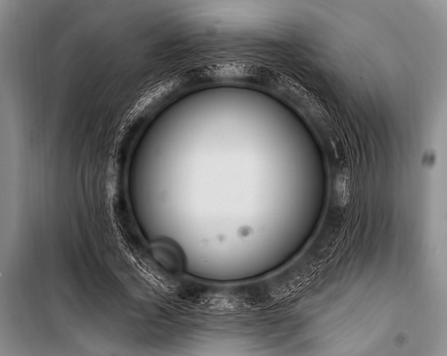X0000101230732200806271510