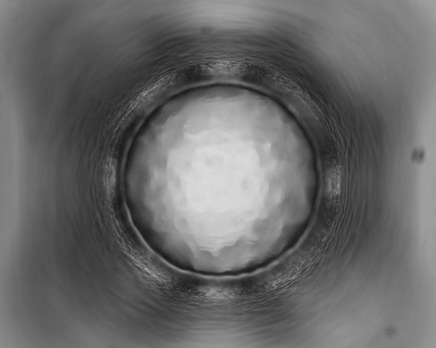 X0000101230733200806271510